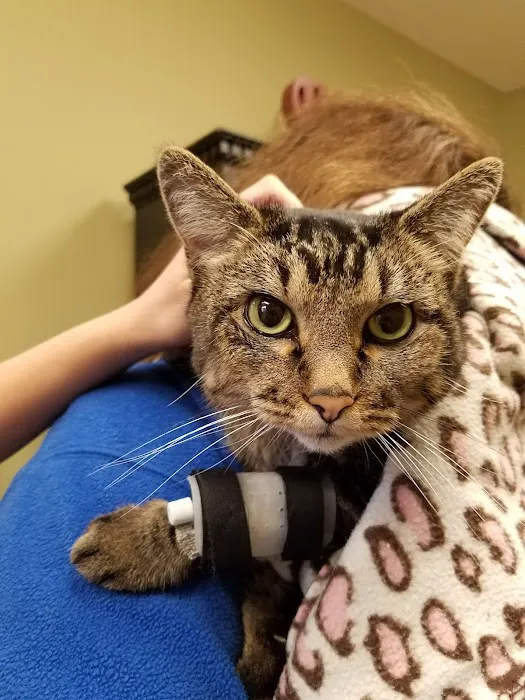 Hemlock Bluffs Animal Hospital Picture 9