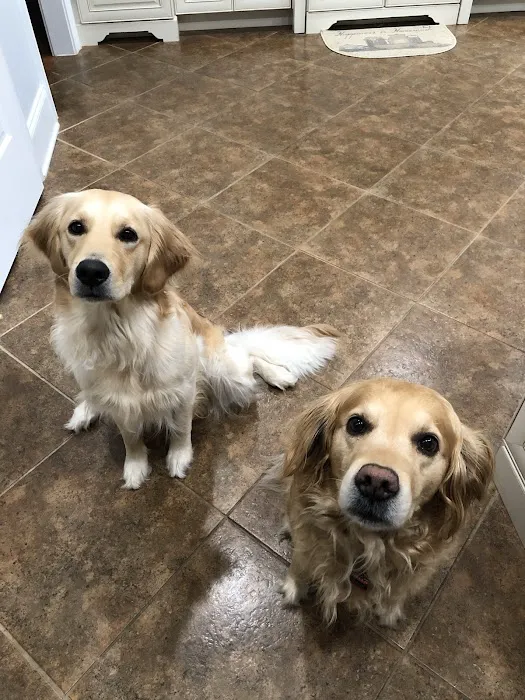 Hemlock Bluffs Animal Hospital Picture 8