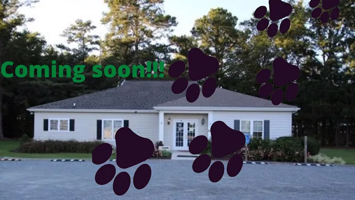 Animal Care of Mathews Picture 8
