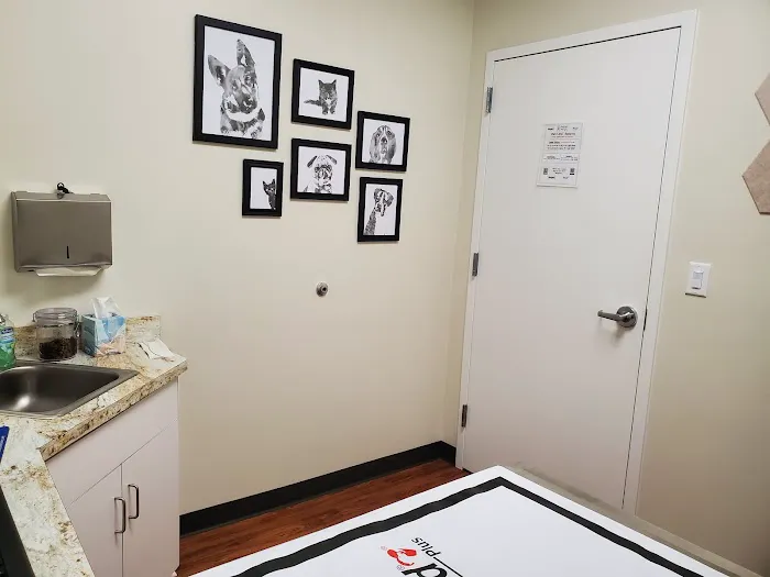Animal Care of Mathews Picture 2