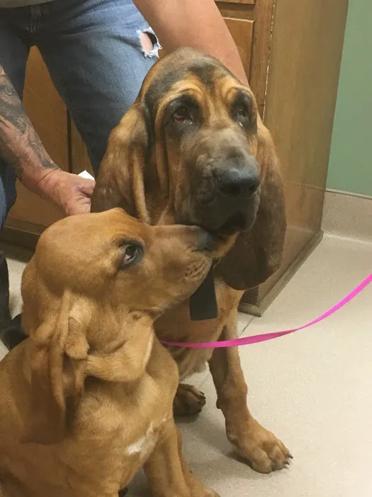 Gloucester Veterinary Hospital Picture 4