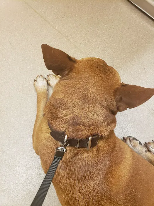 Gloucester Veterinary Hospital Picture 10