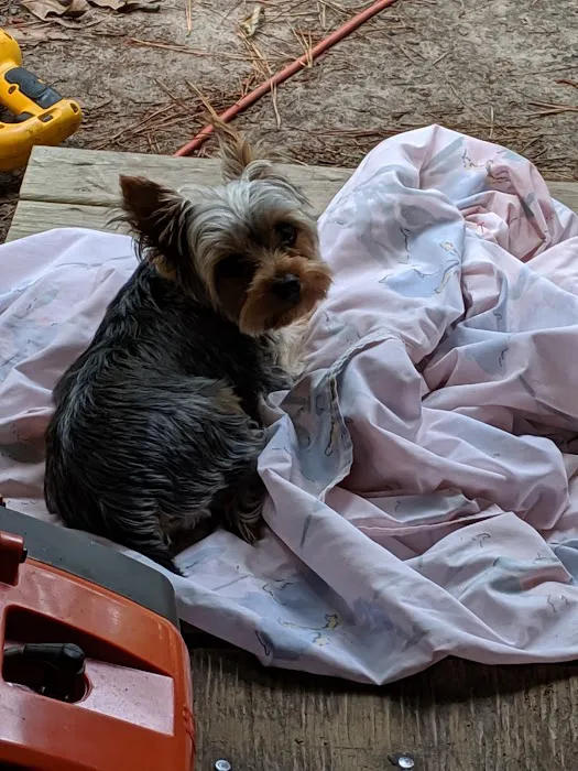 Hendrix Samantha DVM Picture 1