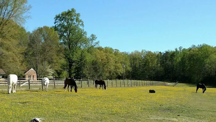 Tidewater Equine Clinic & Farm Animal Services Picture 9