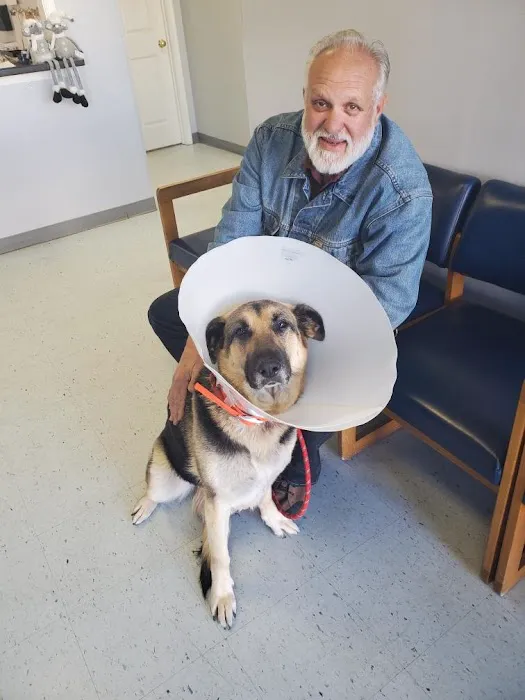 Fixin' to Save Spay & Neuter Clinic Picture 4