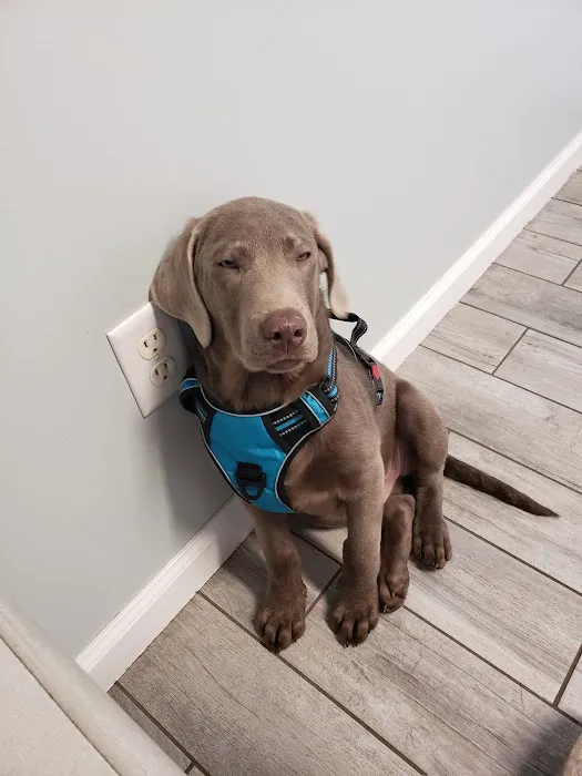 Noah's Ark Veterinary Hospital Picture 1