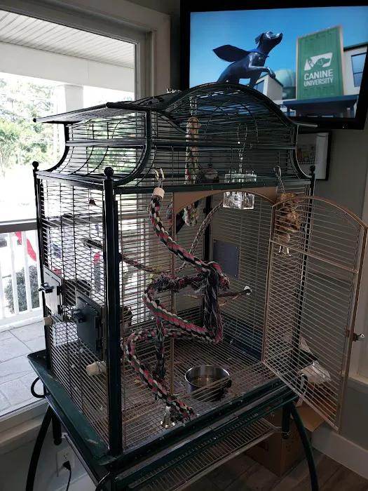 Noah's Ark Veterinary Hospital Picture 2