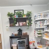 All Creatures Animal Clinic ico