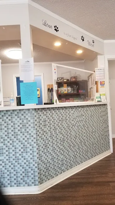 All Creatures Animal Clinic Picture 2