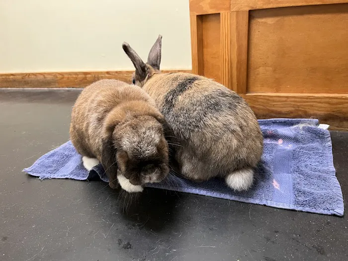 Jolly Pond Veterinary Hospital Picture 9