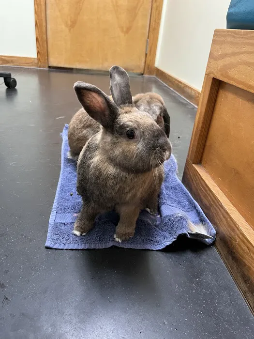 Jolly Pond Veterinary Hospital Picture 7