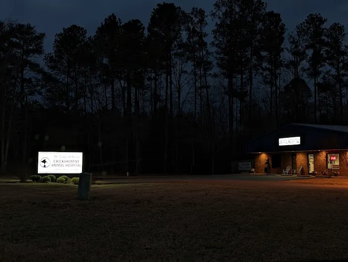 Chickahominy Animal Hospital Picture 4
