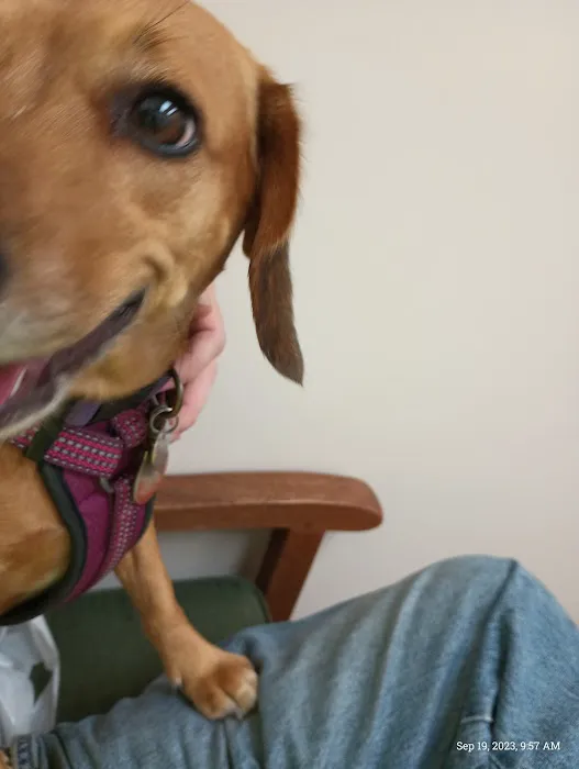 Chickahominy Animal Hospital Picture 1
