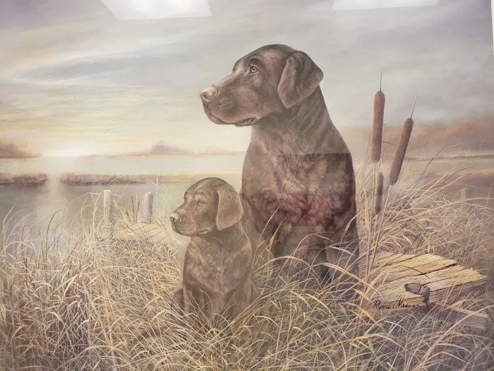 Chickahominy Animal Hospital Picture 5