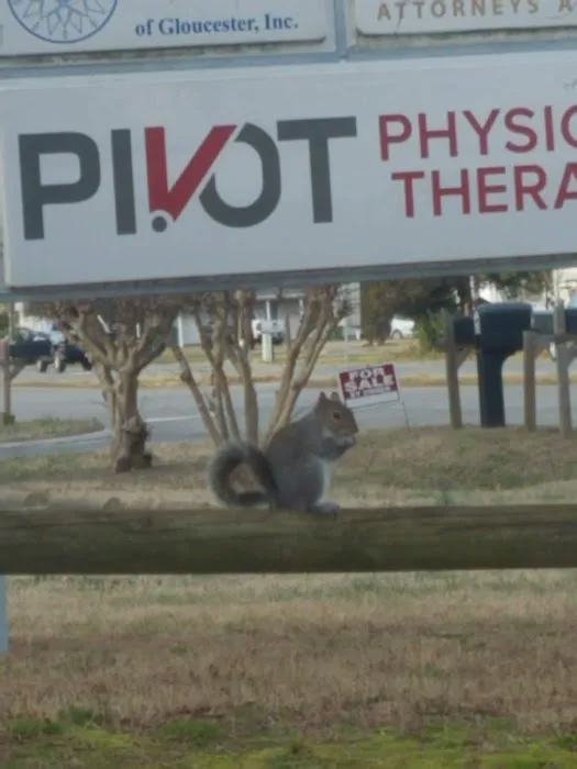 Abingdon Animal Clinic Picture 5