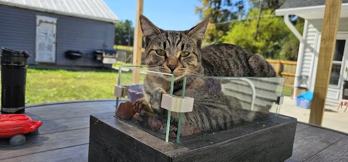 Village Veterinary Service, INC. Picture 1