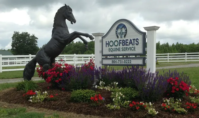 Hoofbeats Equine Service Picture 1