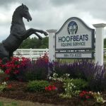 Hoofbeats Equine Service