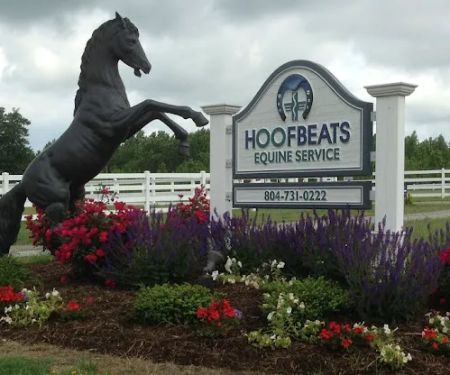 Hoofbeats Equine Service