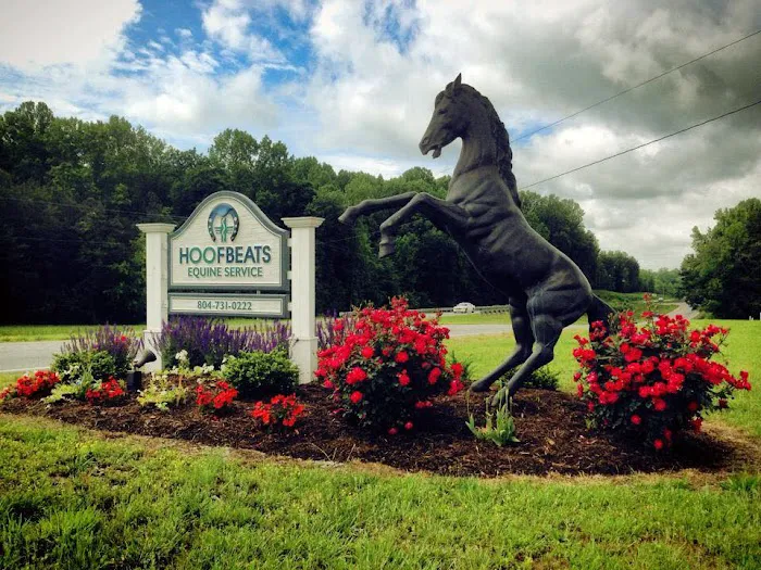 Hoofbeats Equine Service Picture 3