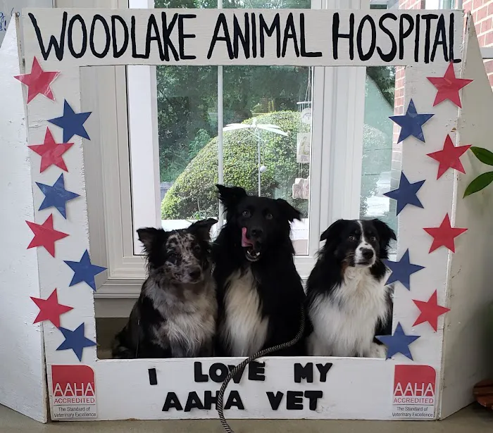 Woodlake Animal Hospital Picture 10