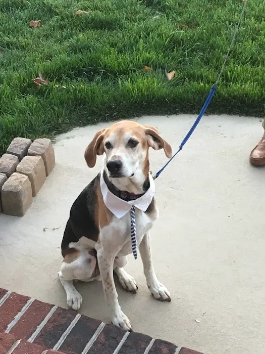 Woodlake Animal Hospital Picture 4