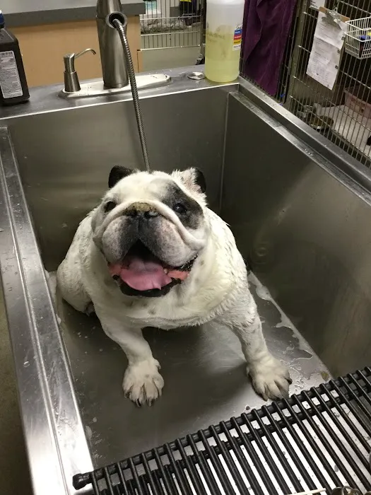Woodlake Animal Hospital Picture 7