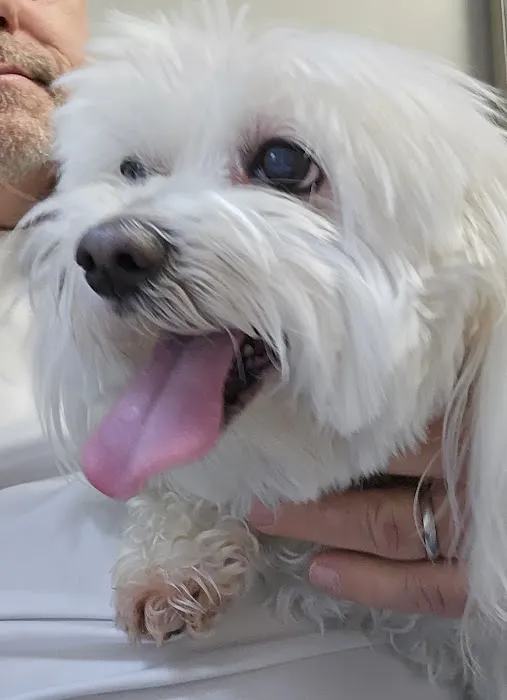 Woodlake Animal Hospital Picture 5
