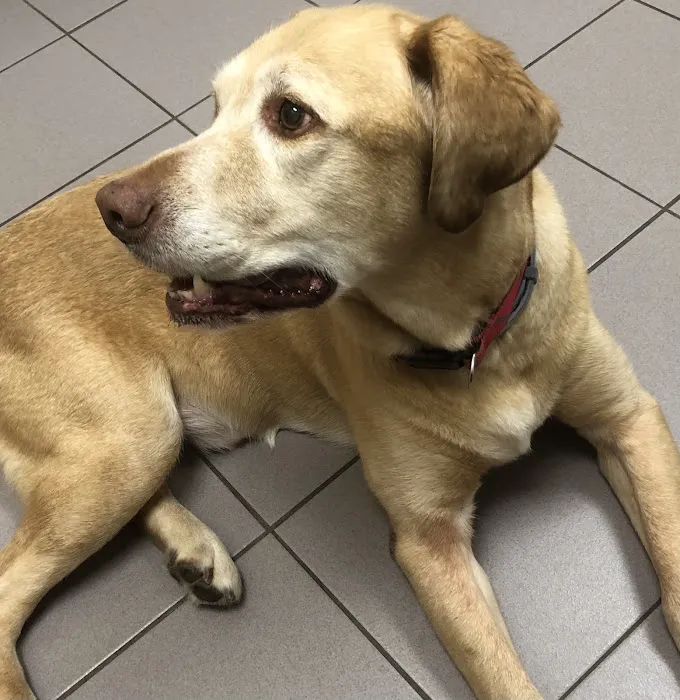 Brandt Veterinary Services Picture 9