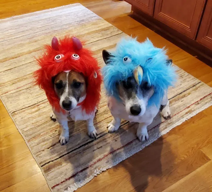 Brandt Veterinary Services Picture 8