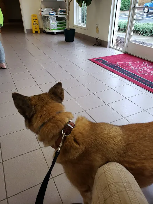 Brandt Veterinary Services Picture 10