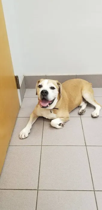 Brandt Veterinary Services Picture 5