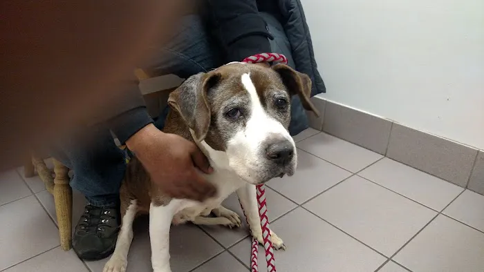 Brandt Veterinary Services Picture 6