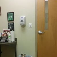 Veterinary Dermatology of Richmond ico