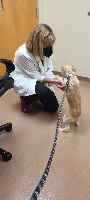 Veterinary Dermatology of Richmond Picture 2