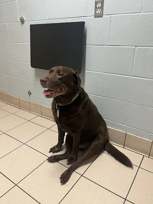 Animal Medical Center Picture 4