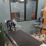 Loving Spay + Neuter Clinic