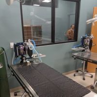 Loving Spay + Neuter Clinic ico