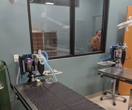 Loving Spay + Neuter Clinic