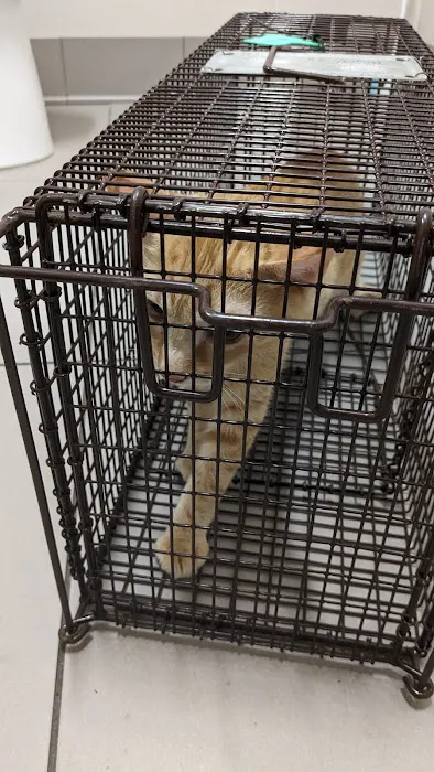 Loving Spay + Neuter Clinic Picture 5
