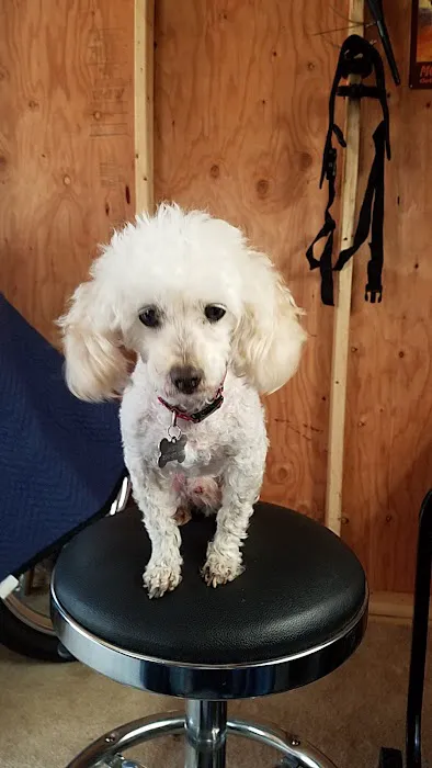 Pocoshock Animal Hospital Picture 4