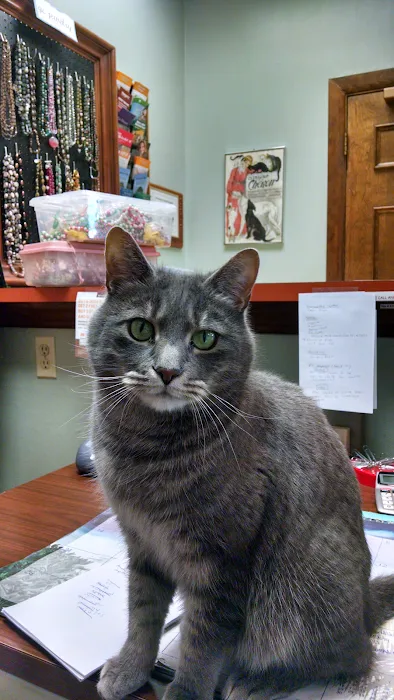 Pocoshock Animal Hospital Picture 9