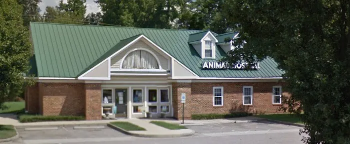Bermuda Hundred Animal Hospital Picture 9