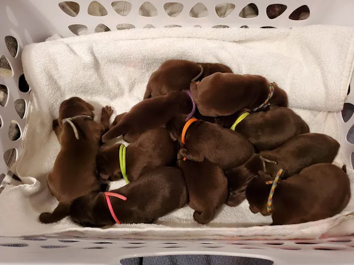Centralia Animal Hospital Picture 2
