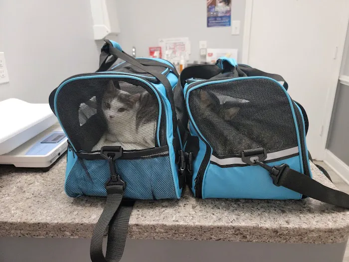 Stonehenge Veterinary Hospital Picture 4