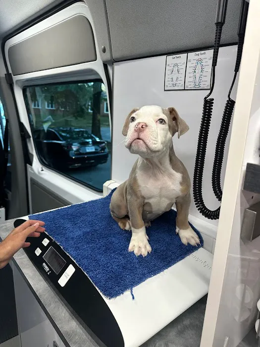Capital Home Veterinary Care Picture 10