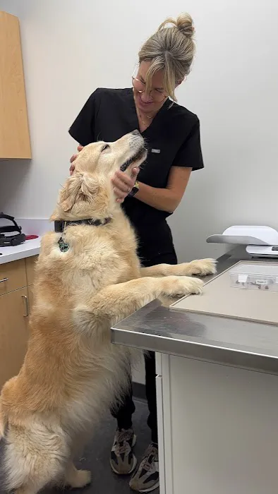 Veterinary Vision Specialists Picture 7