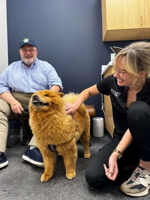 Veterinary Vision Specialists Picture 4