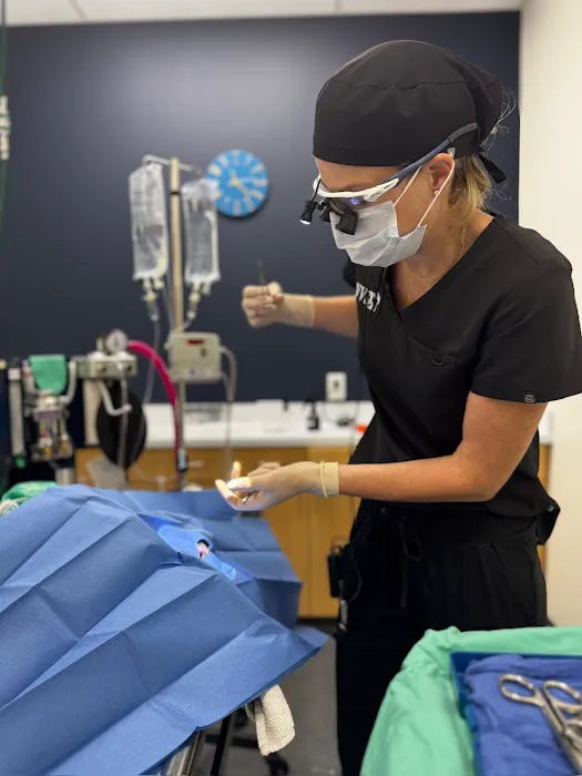 Veterinary Vision Specialists Picture 9