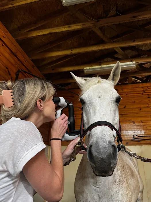Veterinary Vision Specialists Picture 6